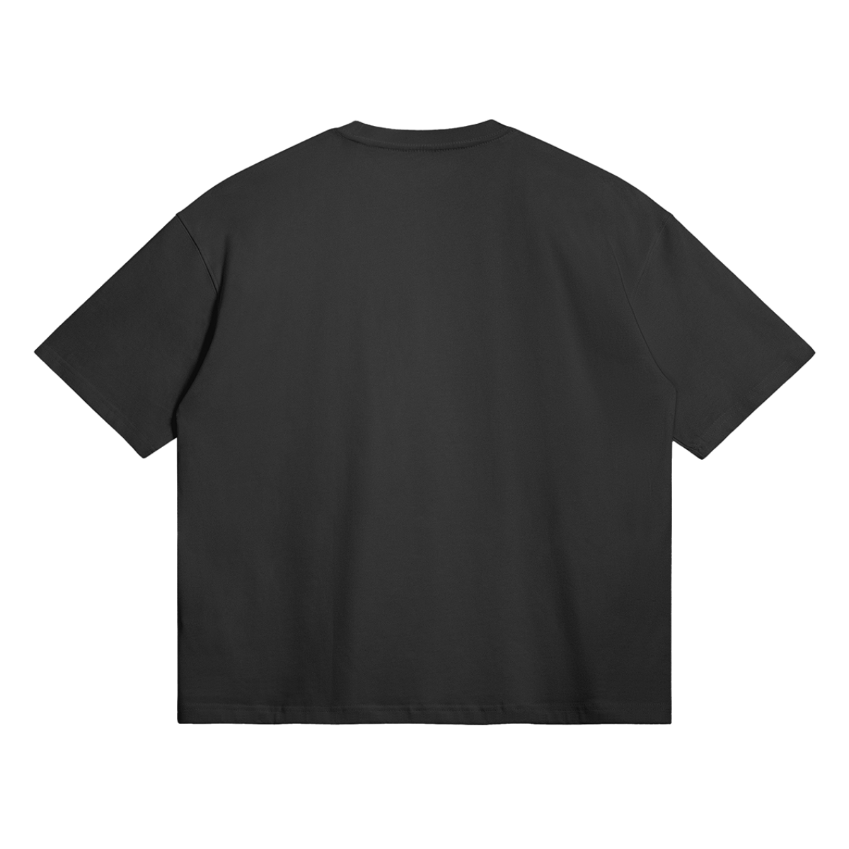 0-YB6-Back Side