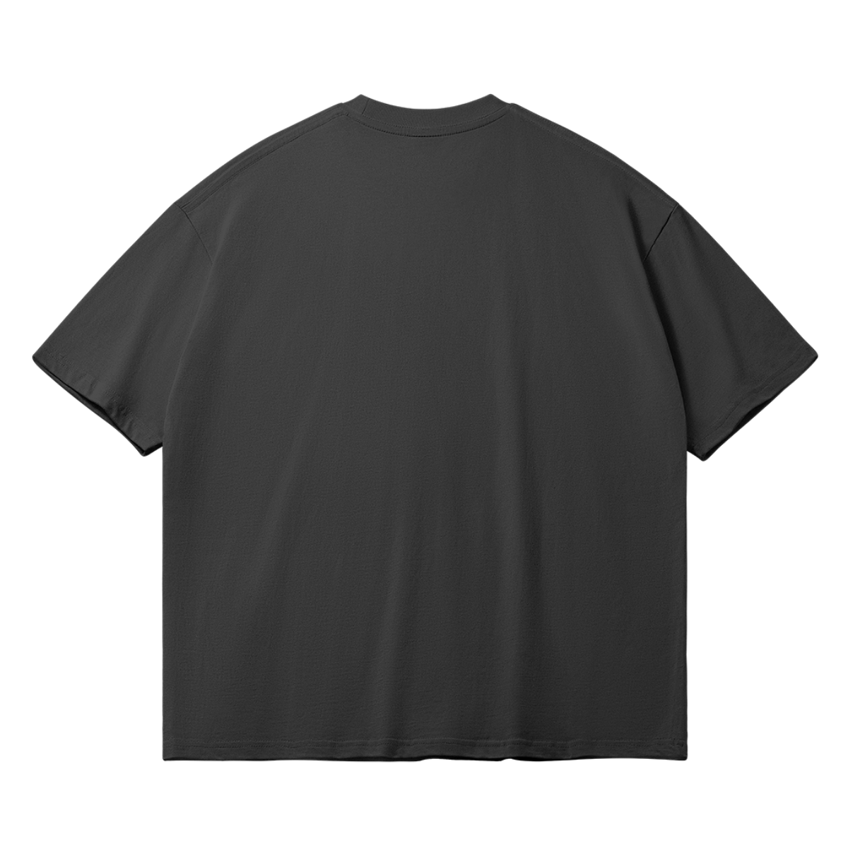 0-Y16-Back Side