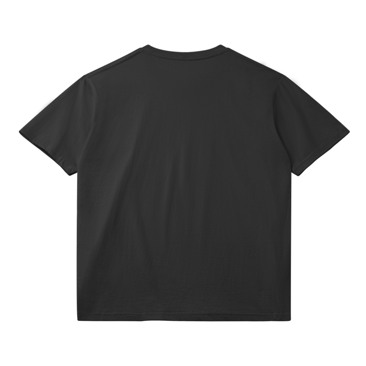 0-Y02-Back Side